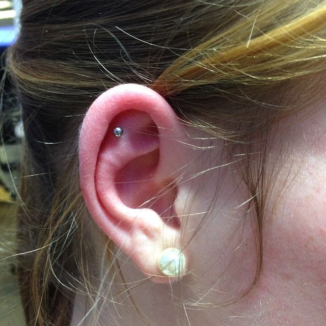 OL-INK Oldenburg - Piercing